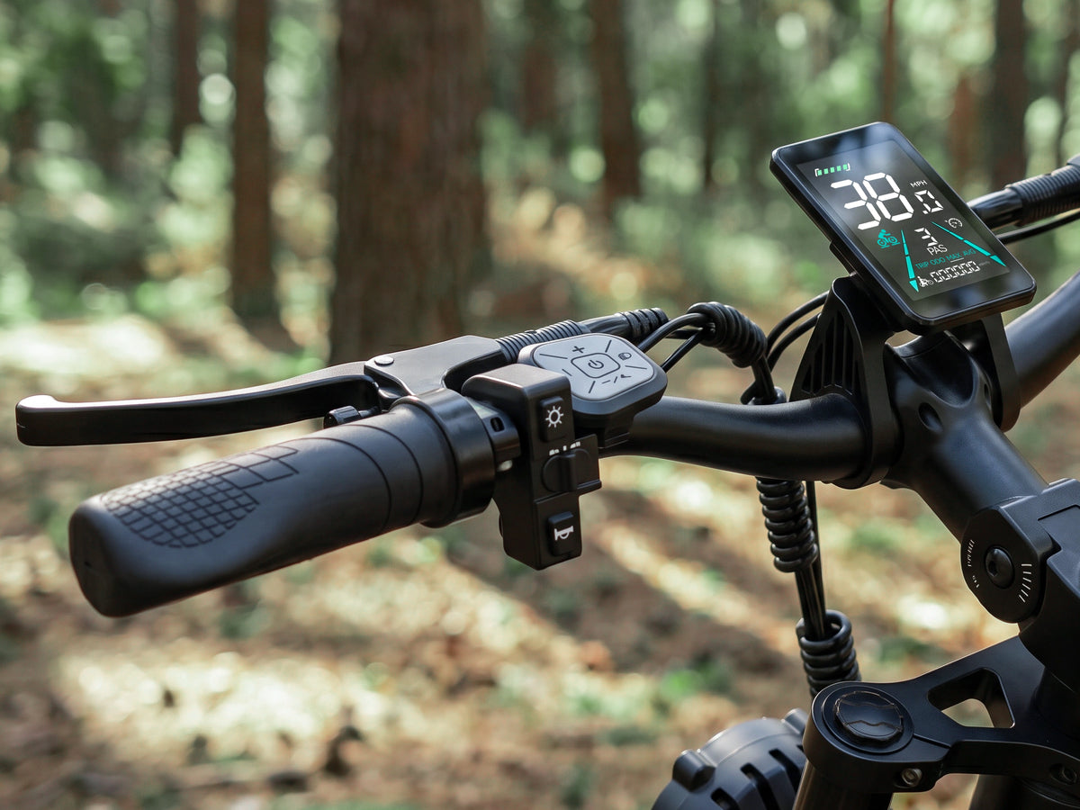 FENGQS H6 PRO Dorosły elektryczny rower terenowy