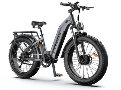 FENGQS H2 PRO Elektryczny rower terenowy z dwoma silnikami